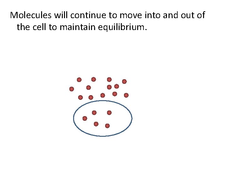 Molecules will continue to move into and out of the cell to maintain equilibrium.