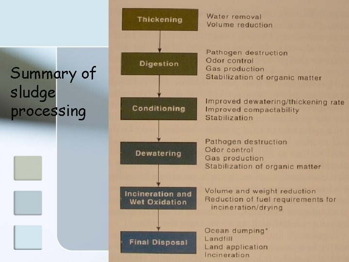 Summary of sludge processing 