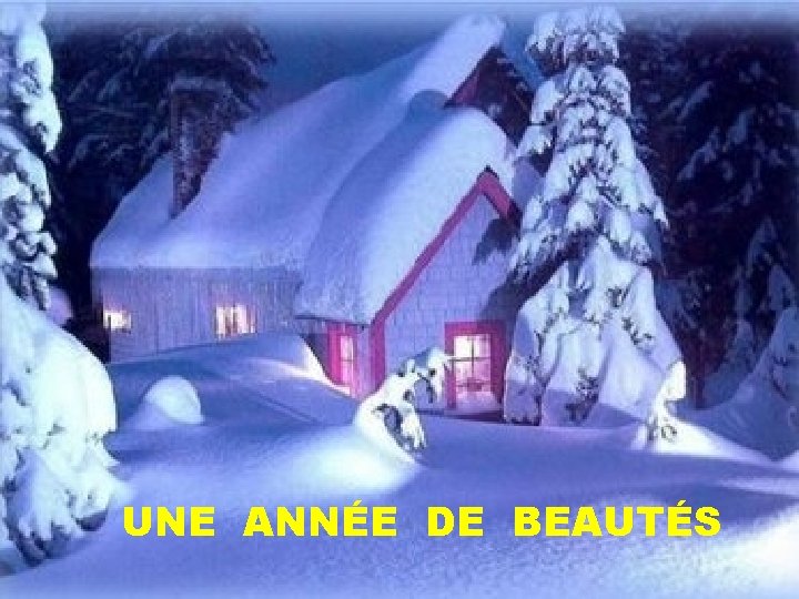 UNE ANNÉE DE BEAUTÉS 