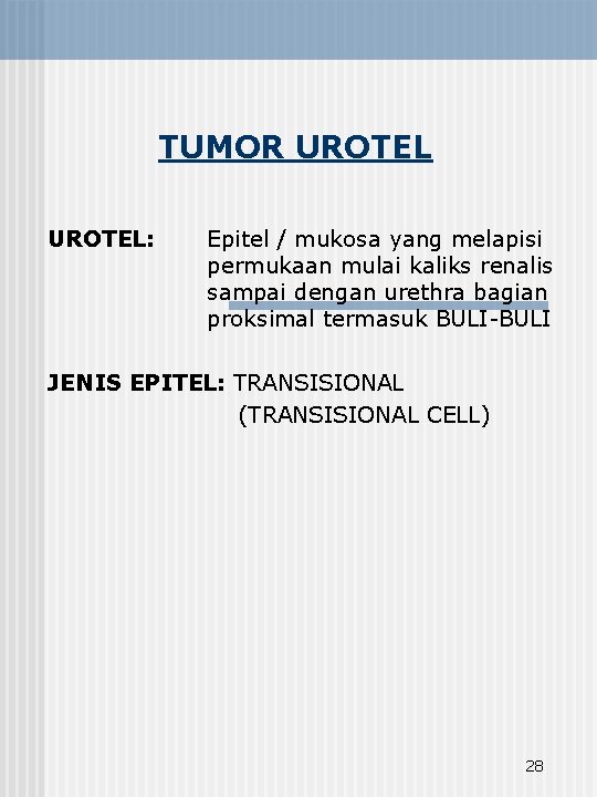 TUMOR UROTEL: Epitel / mukosa yang melapisi permukaan mulai kaliks renalis sampai dengan urethra