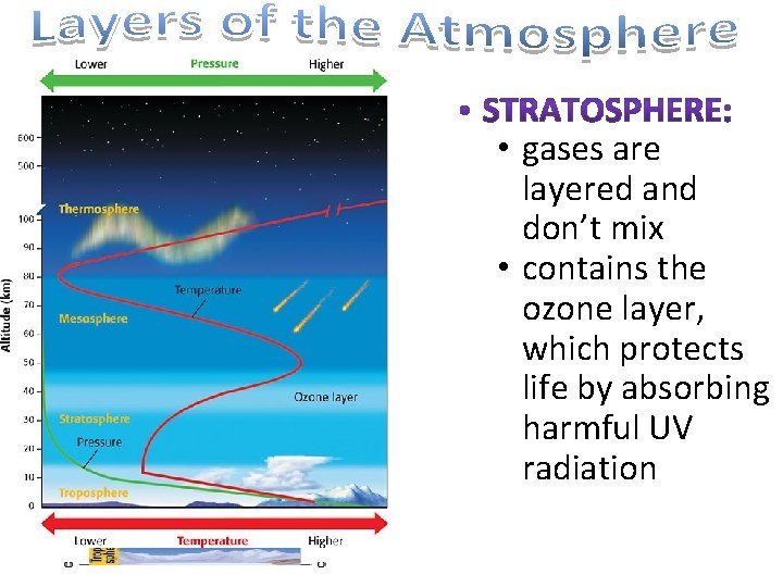 • gases are layered and don’t mix • contains the ozone layer, which • gases are layered and don’t mix • contains the ozone layer, which