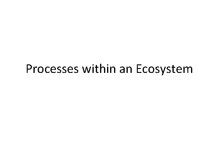 Processes within an Ecosystem 