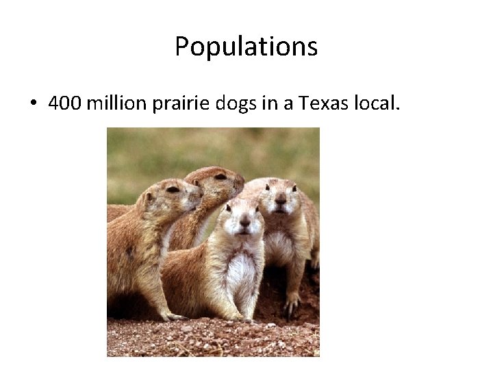 Populations • 400 million prairie dogs in a Texas local. 