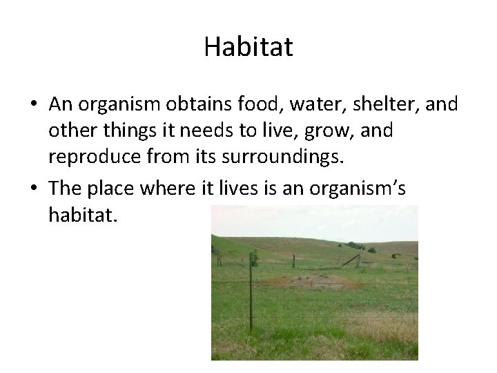 Habitat • An organism obtains food, water, shelter, and other things it needs to
