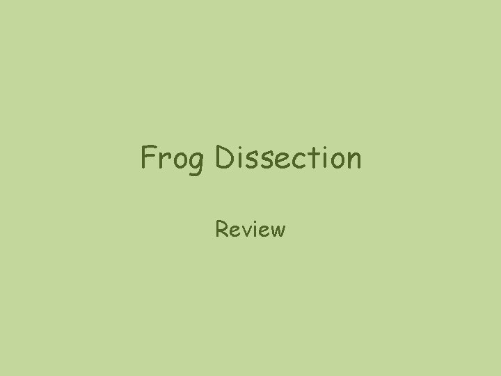 Frog Dissection Review Frog Dissection Review