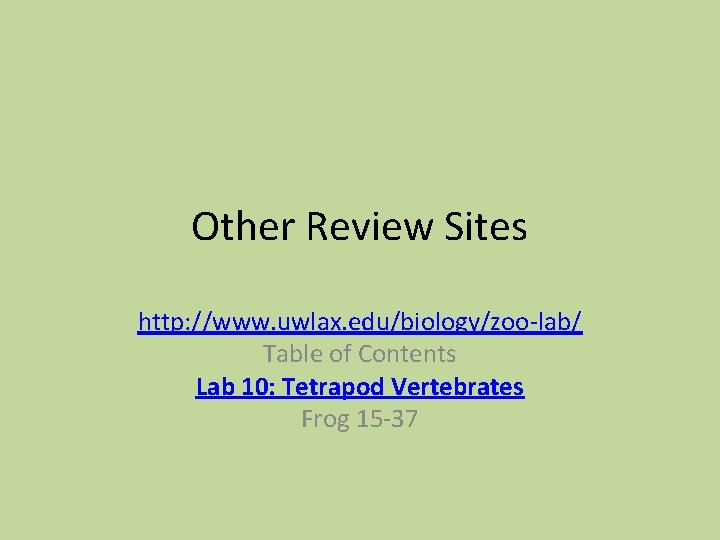 Other Review Sites http: //www. uwlax. edu/biology/zoo-lab/ Table of Contents Lab 10: Tetrapod Vertebrates Other Review Sites http: //www. uwlax. edu/biology/zoo-lab/ Table of Contents Lab 10: Tetrapod Vertebrates