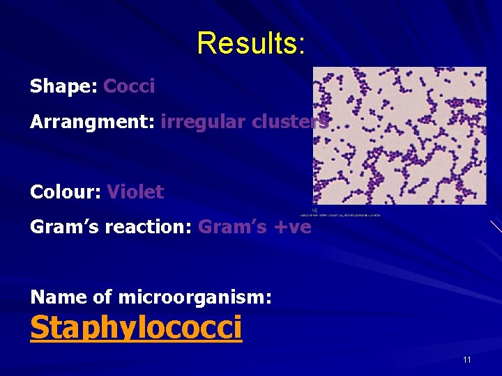 Results: Shape: Cocci Arrangment: irregular clusters Colour: Violet Gram’s reaction: Gram’s +ve Name of
