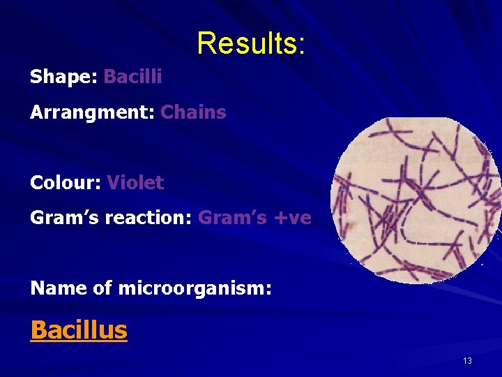 Results: Shape: Bacilli Arrangment: Chains Colour: Violet Gram’s reaction: Gram’s +ve Name of microorganism: