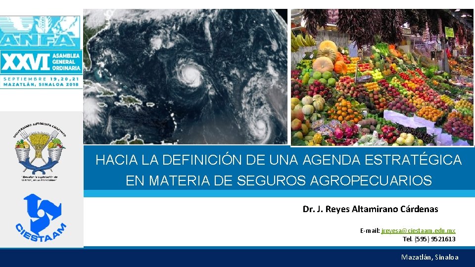 HACIA LA DEFINICIÓN DE UNA AGENDA ESTRATÉGICA EN MATERIA DE SEGUROS AGROPECUARIOS Dr. J.