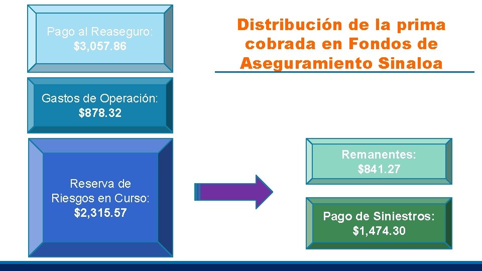 Pago al Reaseguro: $3, 057. 86 Distribución de la prima cobrada en Fondos de