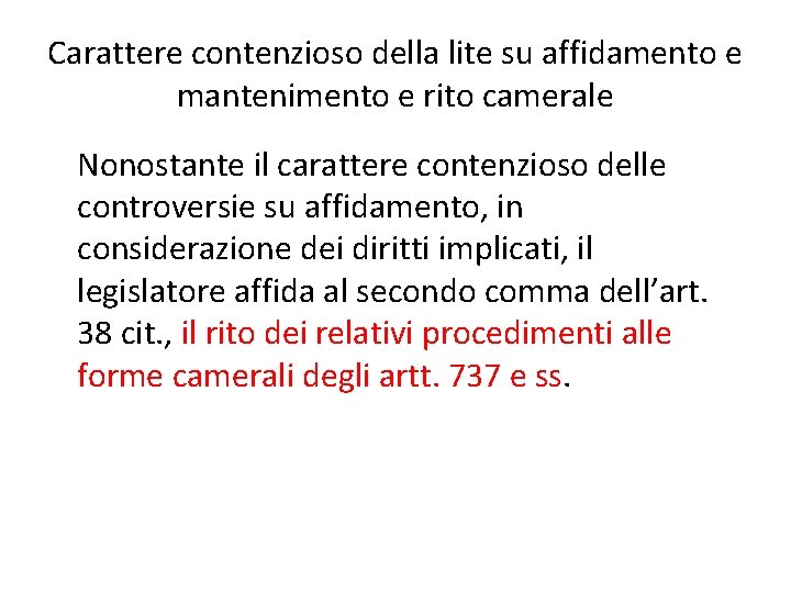 Carattere contenzioso della lite su affidamento e mantenimento e rito camerale Nonostante il carattere