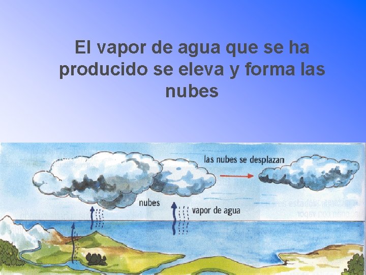 El vapor de agua que se ha producido se eleva y forma las nubes