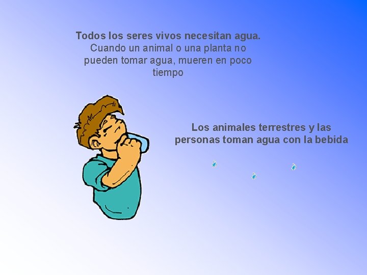 Todos los seres vivos necesitan agua. Cuando un animal o una planta no pueden