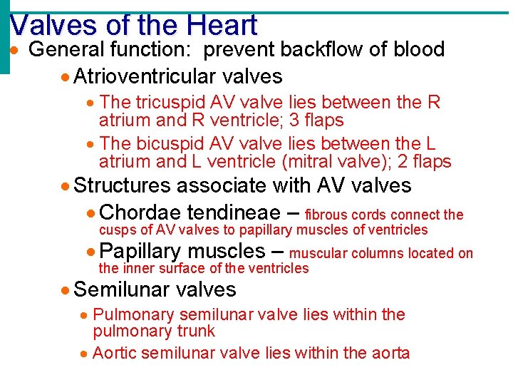 Valves of the Heart General function: prevent backflow of blood Atrioventricular valves The tricuspid