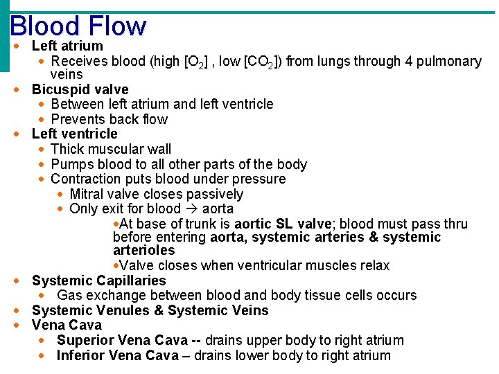 Blood Flow Left atrium Receives blood (high [O 2] , low [CO 2]) from