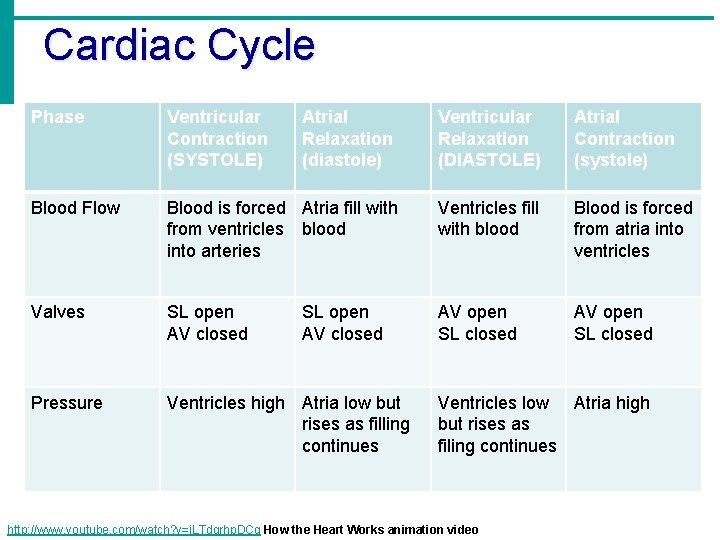 Cardiac Cycle Phase Ventricular Contraction (SYSTOLE) Atrial Relaxation (diastole) Ventricular Relaxation (DIASTOLE) Atrial Contraction