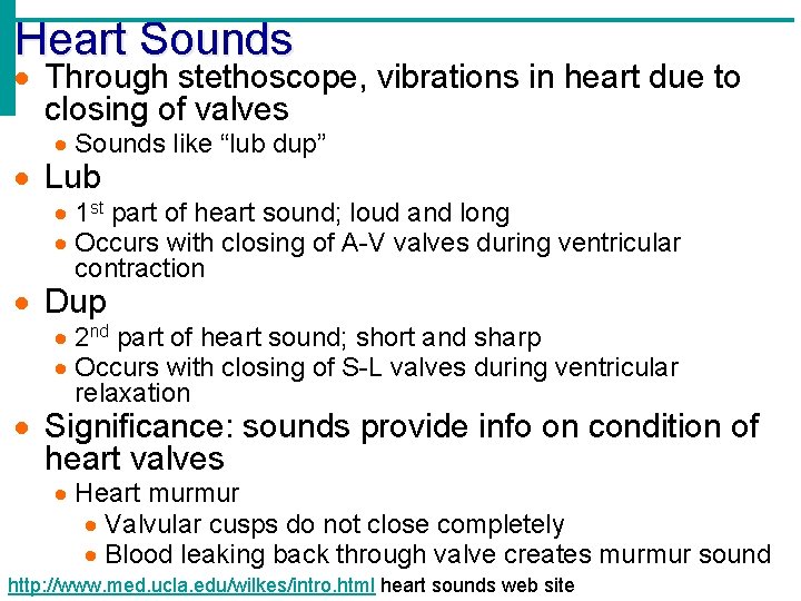 Heart Sounds Through stethoscope, vibrations in heart due to closing of valves Sounds like