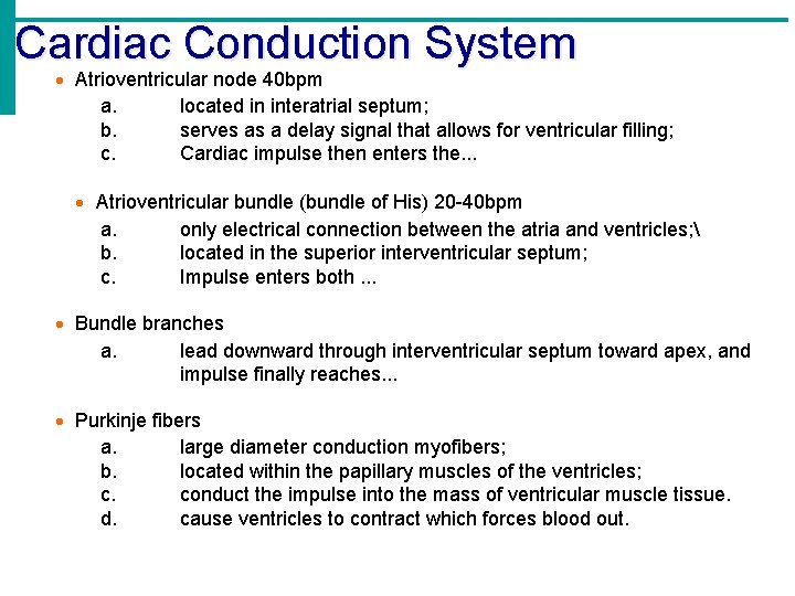 Cardiac Conduction System Atrioventricular node 40 bpm a. located in interatrial septum; b. serves
