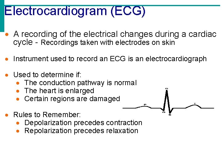 Electrocardiogram (ECG) A recording of the electrical changes during a cardiac cycle - Recordings