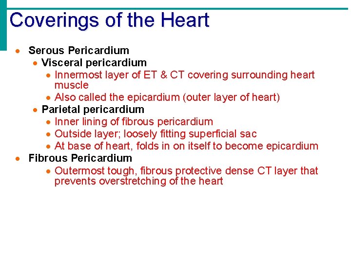 Coverings of the Heart Serous Pericardium Visceral pericardium Innermost layer of ET & CT