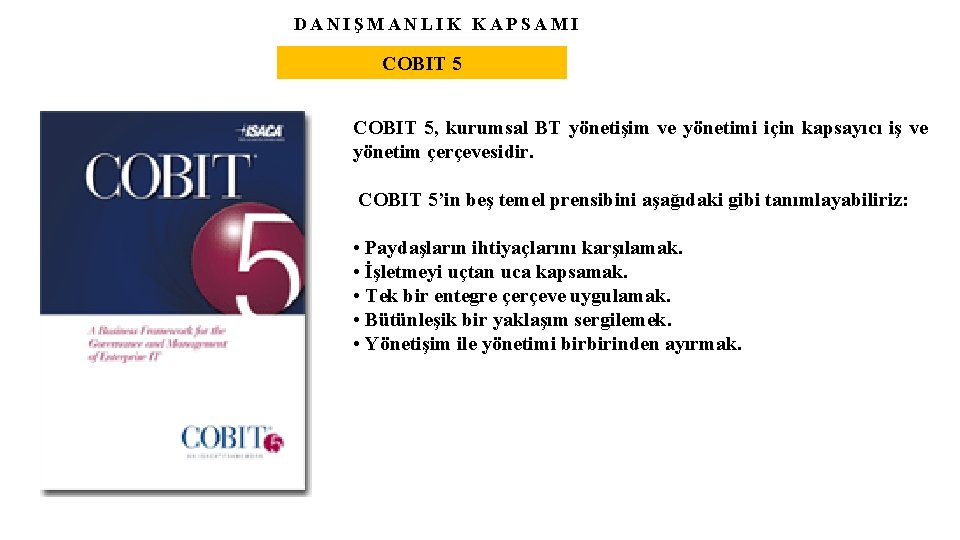 DANIŞMANLIK KAPSAMI COBIT 5, kurumsal BT yönetişim ve yönetimi için kapsayıcı iş ve yönetim