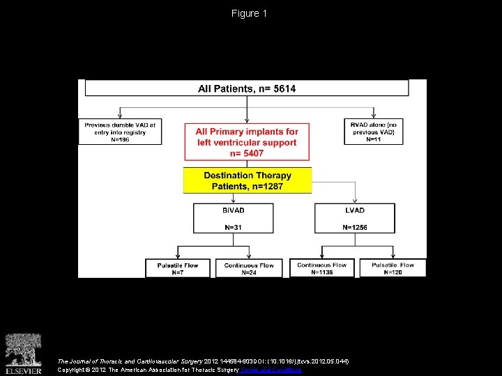 Figure 1 The Journal of Thoracic and Cardiovascular Surgery 2012 144584 -603 DOI: (10.