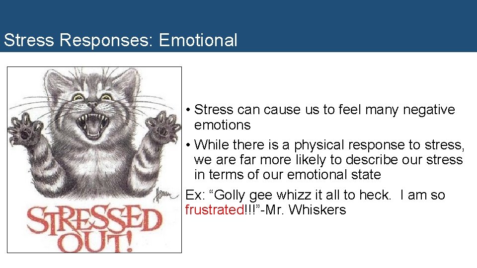 Stress Responses: Emotional • Stress can cause us to feel many negative emotions •