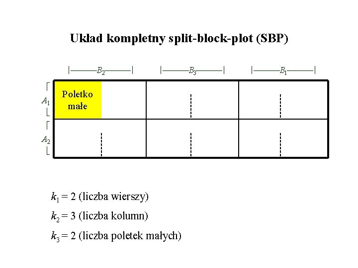 Układ kompletny split-block-plot (SBP) B 2 A 1 B 3 Poletko małe A 2