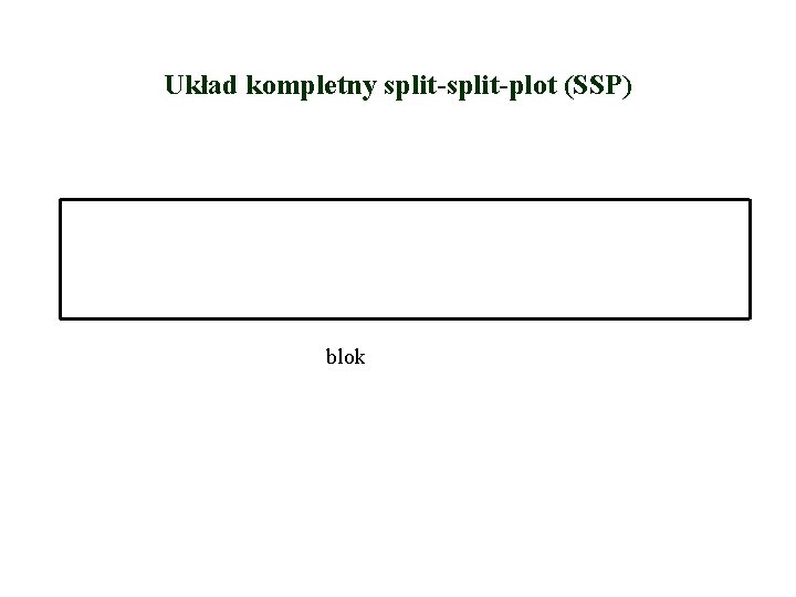 Układ kompletny split-plot (SSP) blok 