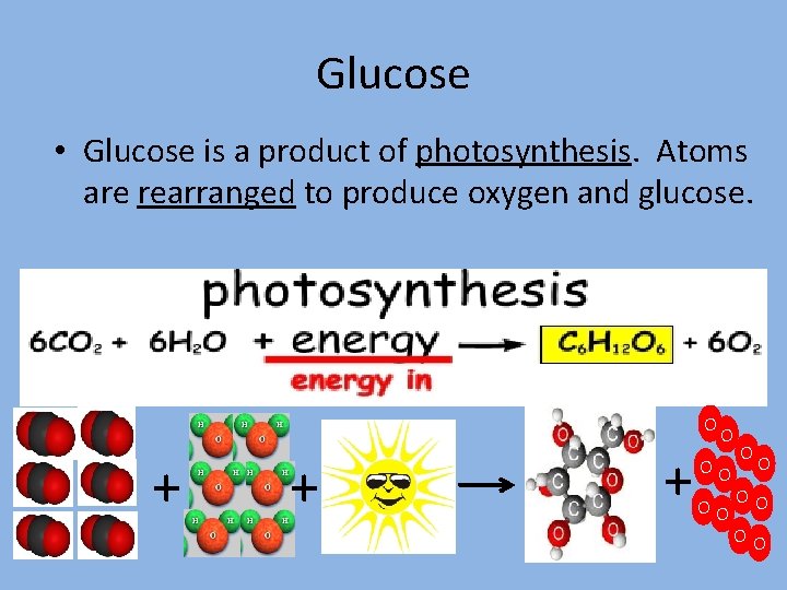 Glucose • Glucose is a product of photosynthesis. Atoms are rearranged to produce oxygen