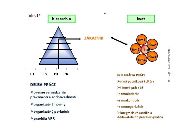 obr. 1* * hierarchia ZÁKAZNÍK kvet tím 1 top tím 4 P 1 P