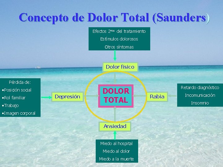 Concepto de Dolor Total (Saunders) Efectos 2 rios del tratamiento Estímulos dolorosos Otros síntomas