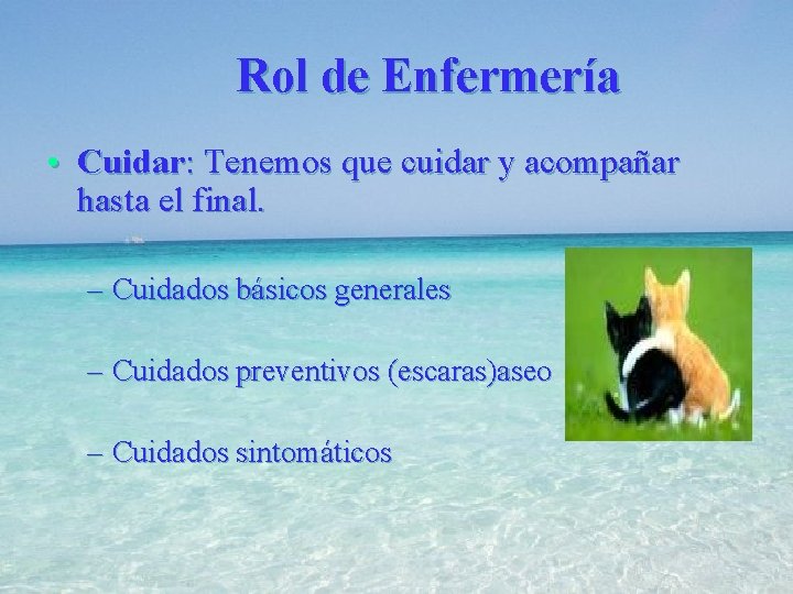 Rol de Enfermería • Cuidar: Tenemos que cuidar y acompañar hasta el final. –