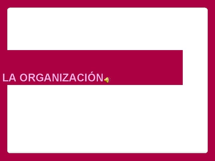 LA ORGANIZACIÓN 