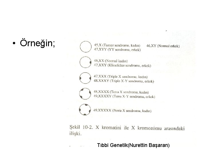  • Örneğin; Şekil 5 Tıbbi Genetik(Nurettin Başaran) 