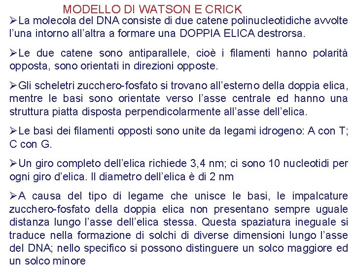 MODELLO DI WATSON E CRICK ØLa molecola del DNA consiste di due catene polinucleotidiche