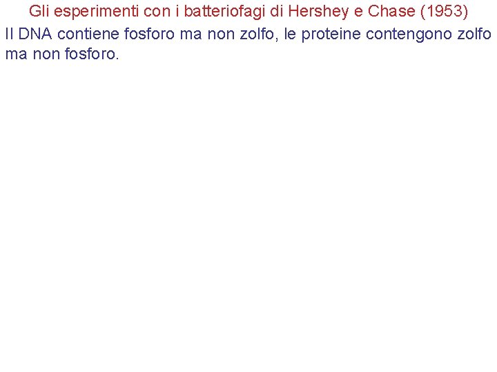 Gli esperimenti con i batteriofagi di Hershey e Chase (1953) Il DNA contiene fosforo