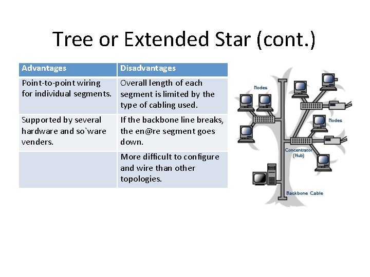 Tree or Extended Star (cont. ) Advantages Disadvantages Point‐to‐point wiring Overall length of each