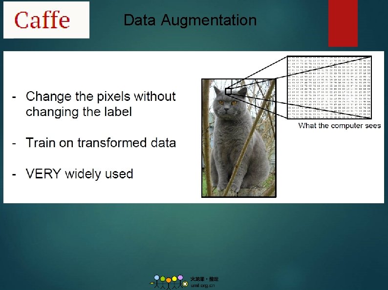 Data Augmentation 