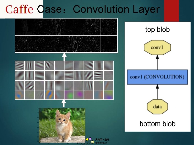 Case：Convolution Layer 