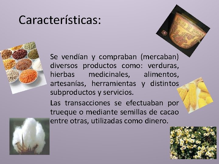 Características: Se vendían y compraban (mercaban) diversos productos como: verduras, hierbas medicinales, alimentos, artesanías,