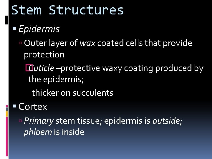 Stem Structures Epidermis Outer layer of wax coated cells that provide protection � Cuticle