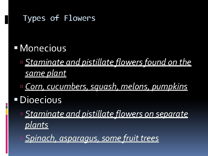 Types of Flowers Monecious Staminate and pistillate flowers found on the same plant Corn,