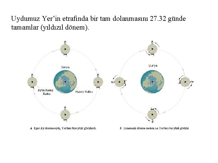 Uydumuz Yer’in etrafında bir tam dolanmasını 27. 32 günde tamamlar (yıldızıl dönem). 