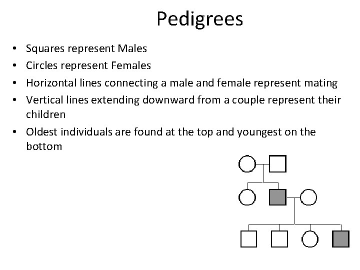 Pedigrees Squares represent Males Circles represent Females Horizontal lines connecting a male and female