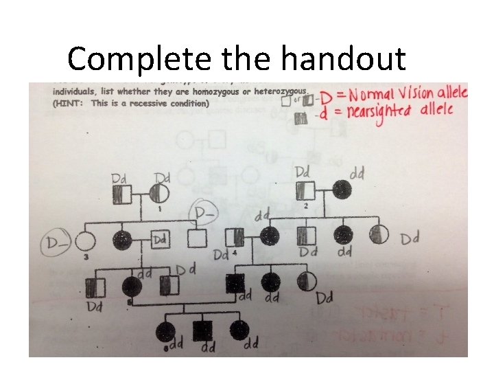 Complete the handout 