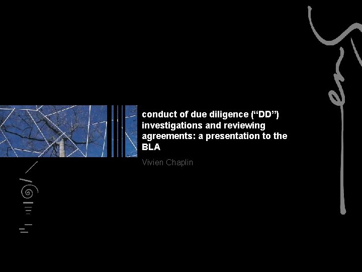conduct of due diligence DD investigations and reviewing