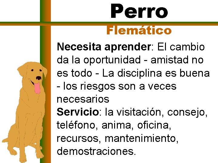 Perro Flemático Necesita aprender: El cambio da la oportunidad - amistad no es todo