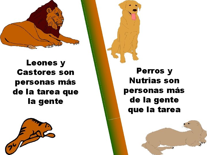 Leones y Castores son personas más de la tarea que la gente Perros y