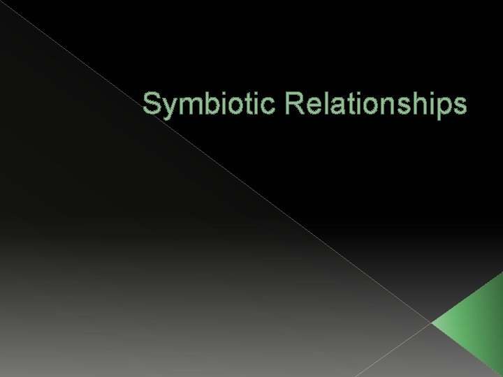 Symbiotic Relationships 